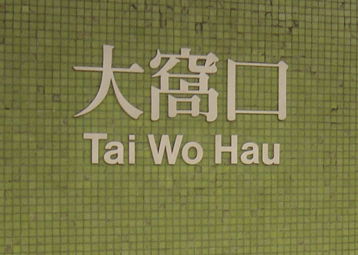 Tai Wo Hau station