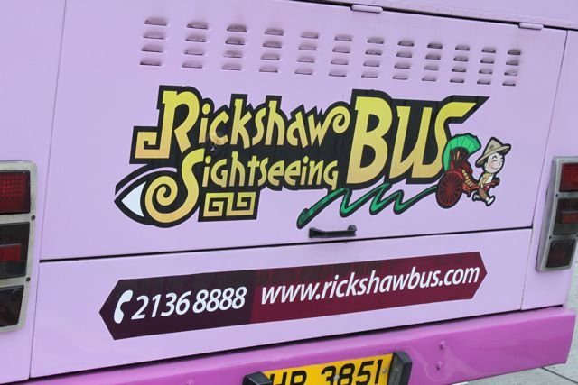 Pink Rickshaw Sightseeing Bus rear panel with logo