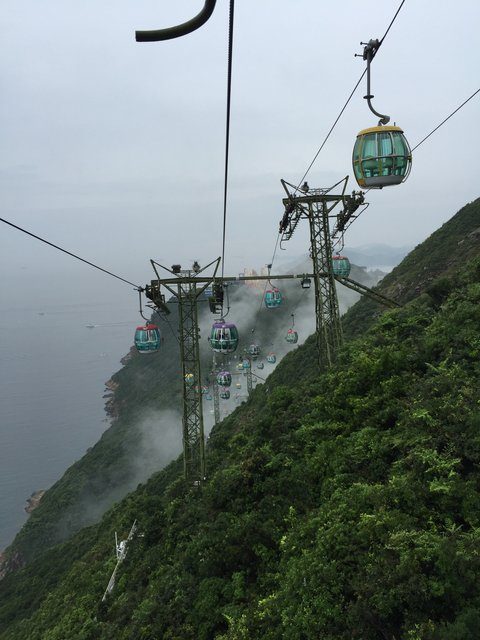 Ngong Ping cable car gondolas descending a misty, forested hillside above the sea