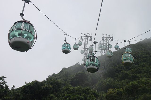 Ngong Ping 360 cable car bubbles strung across a misty, forested hillside